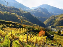 Wine tour Toskánsko
