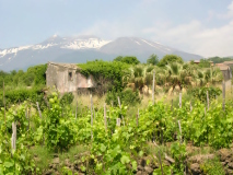 Wine tour Toskánsko