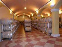 Wine tour Toskánsko