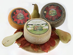 Toskánské produkty - sýry, pecorino