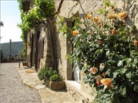  Rustikální apartmán na toskánském venkově